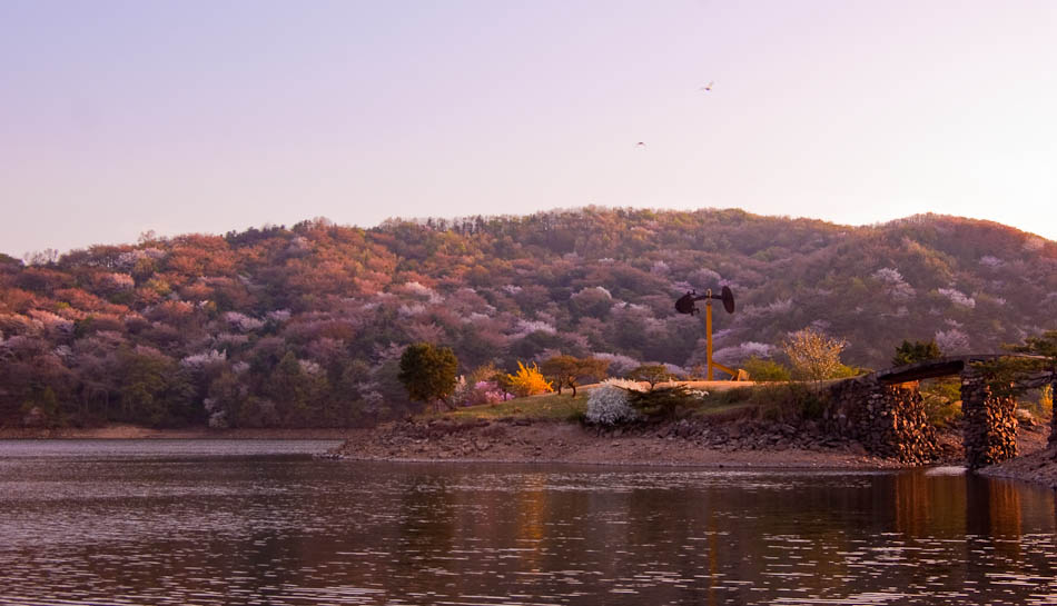 희원 앞 호수 풍경 28