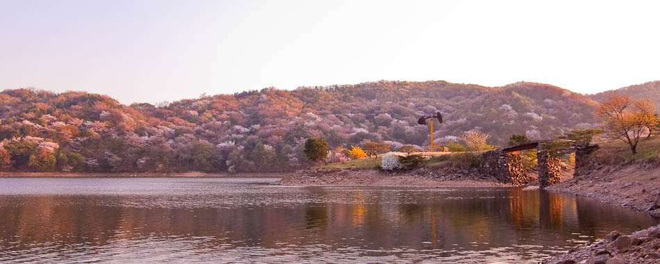 희원 앞 호수 풍경 29
