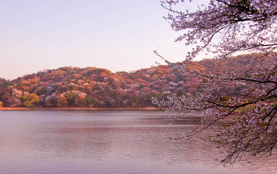 희원 앞 호수 풍경 34