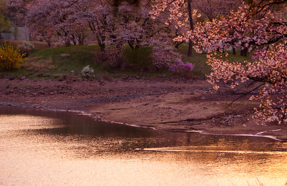 희원 앞 호수 풍경 33