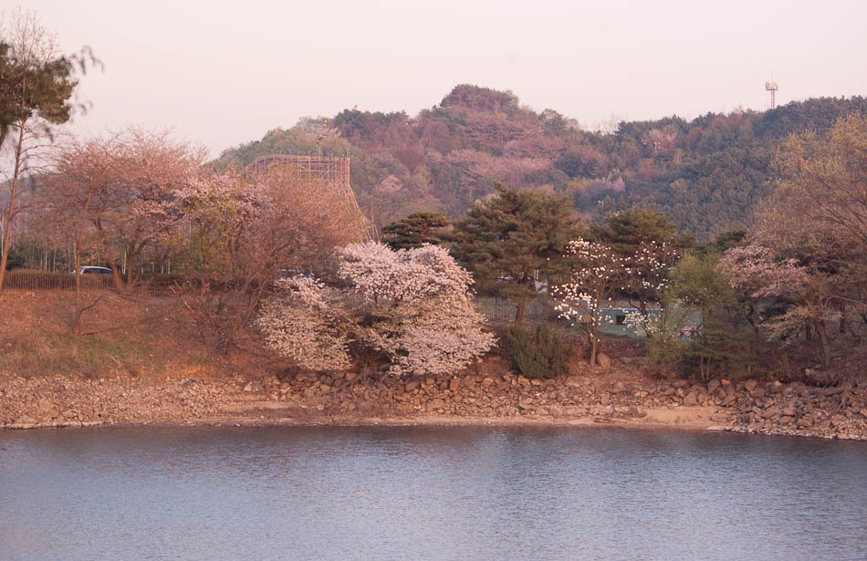 희원 앞 호수 풍경 32