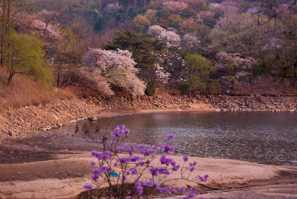 희원 앞 호수 풍경 31