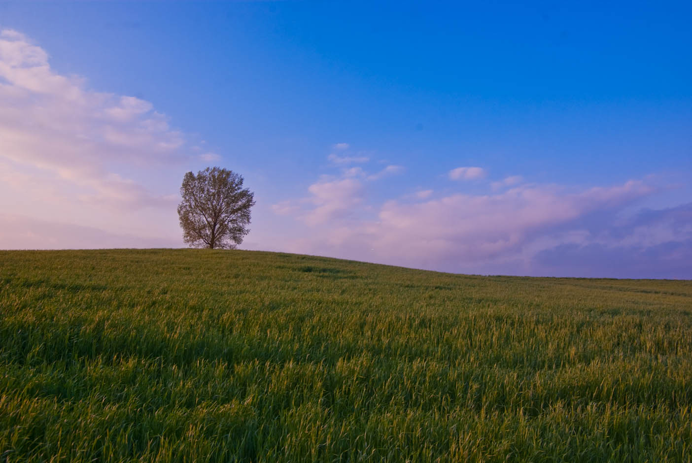 해질녁 안성목장 16