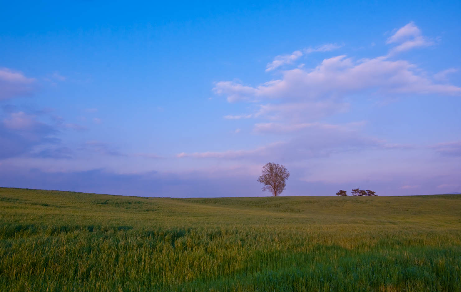 해질녁 안성목장 15
