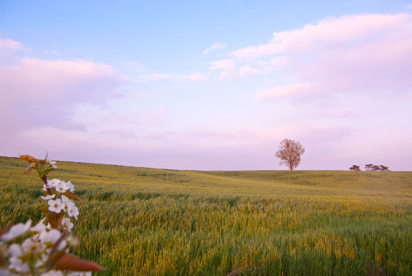 해질녁 안성목장 14