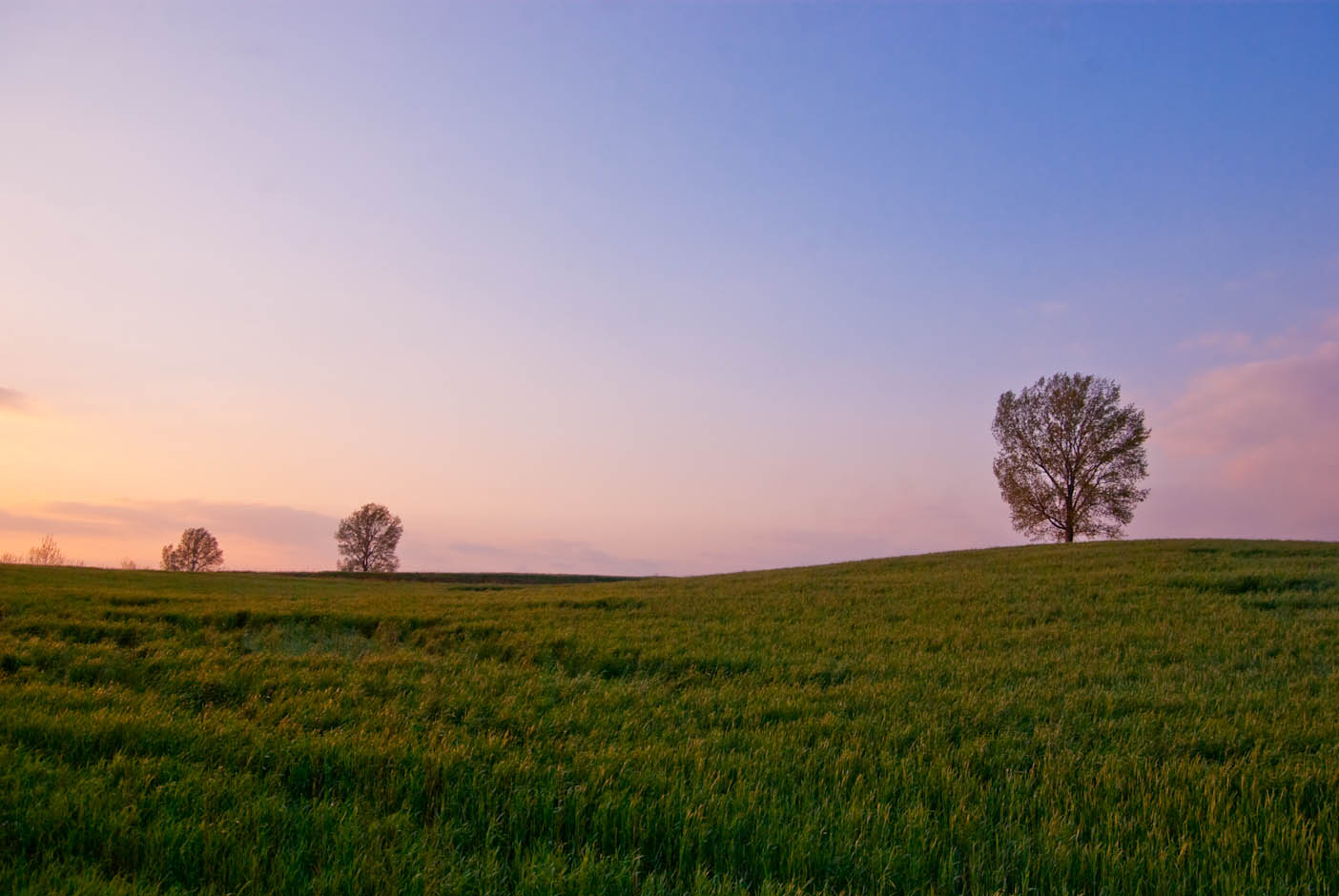 해질녁 안성목장 13