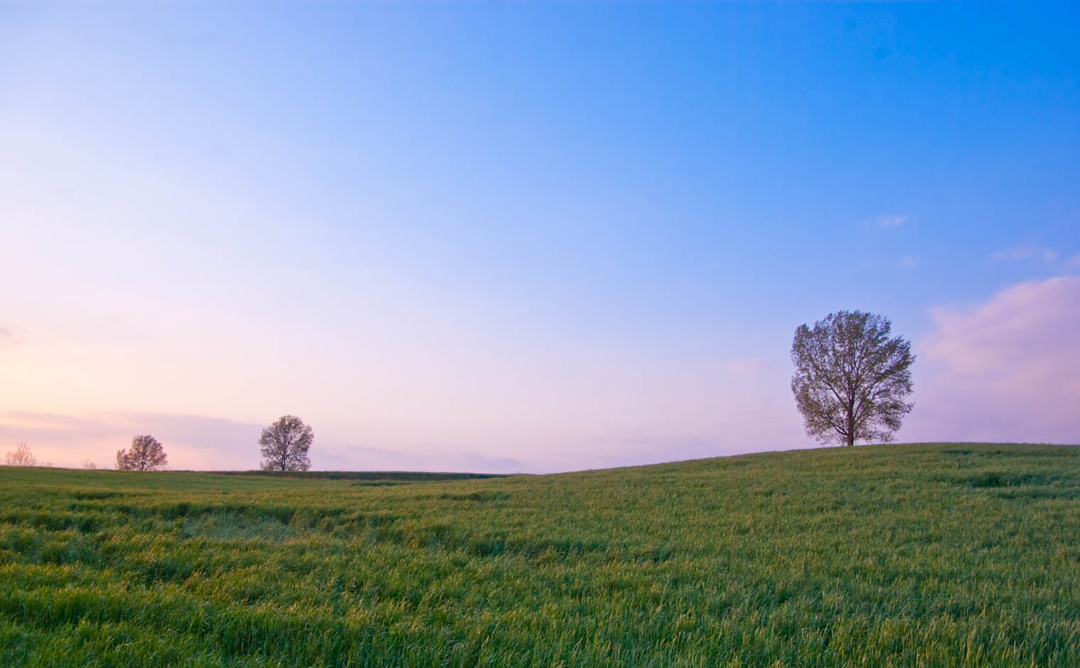 해질녁 안성목장 12