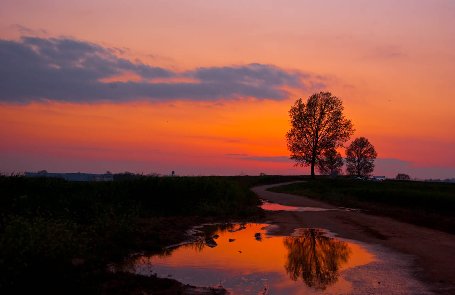 해질녁 안성목장 19