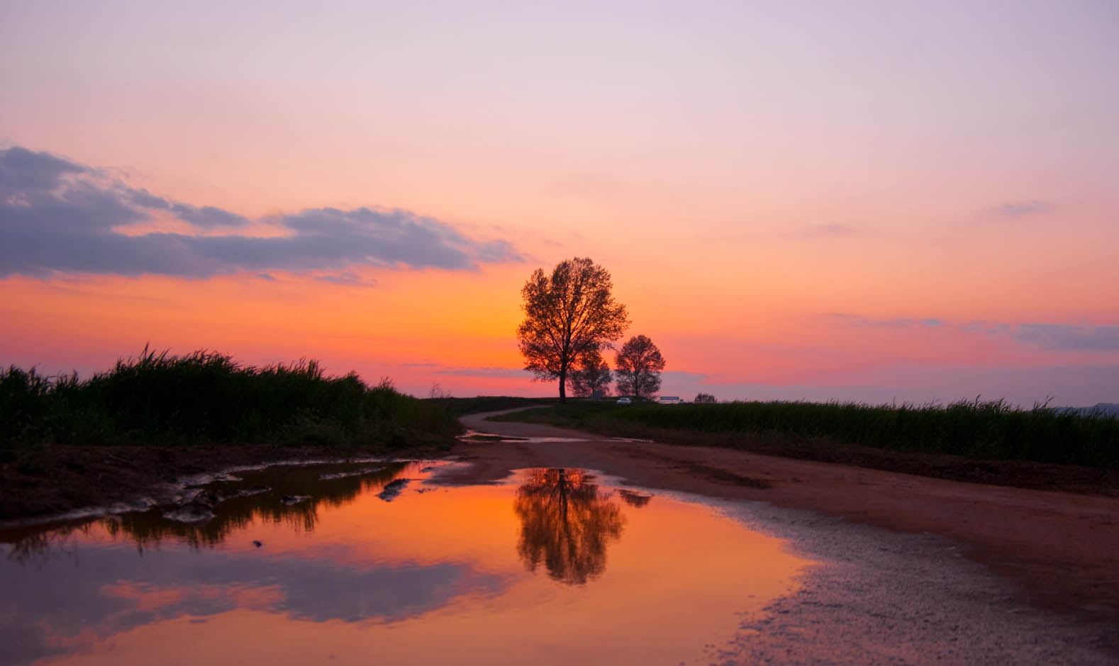 해질녁 안성목장 18