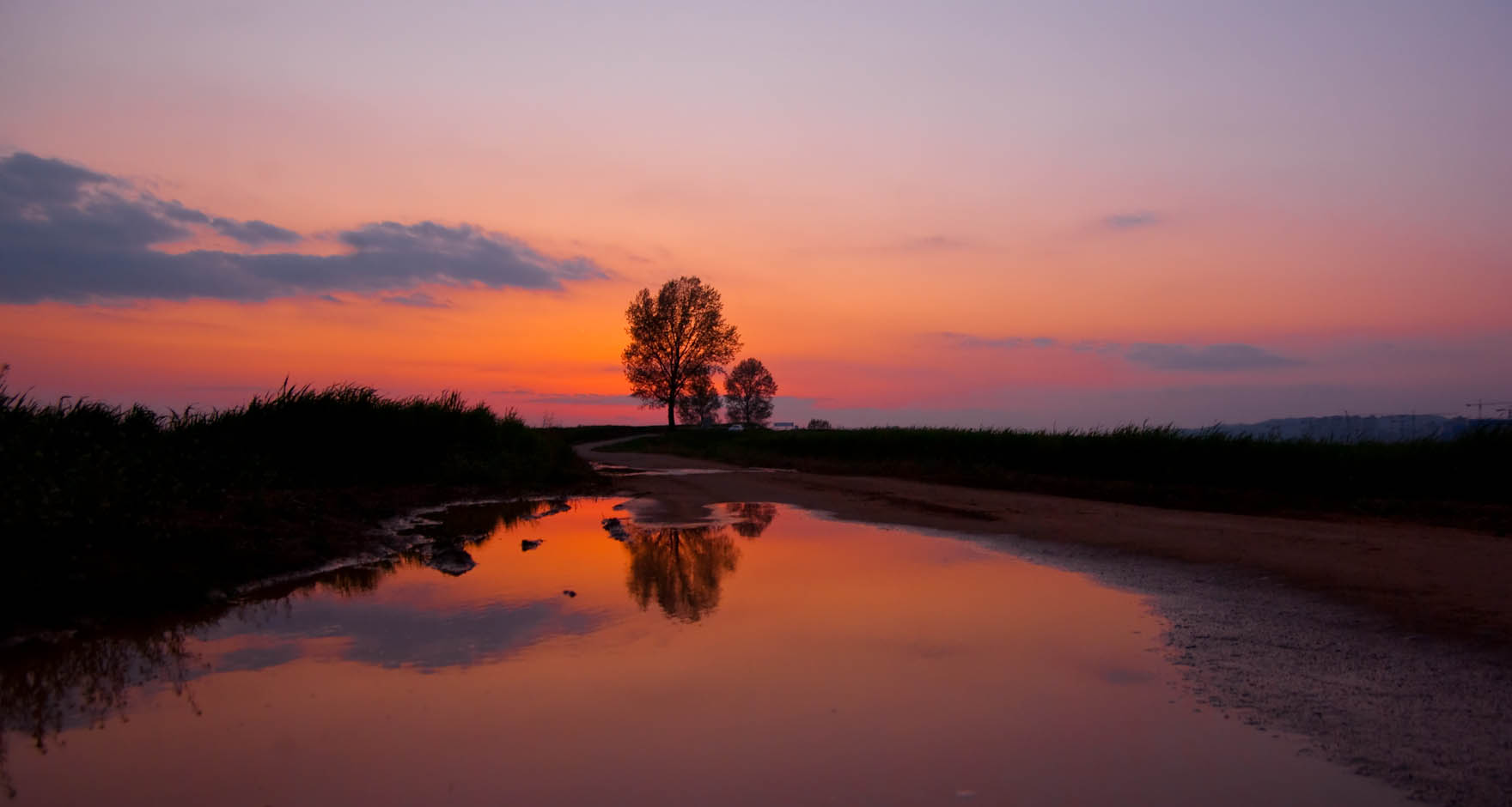 해질녁 안성목장 17