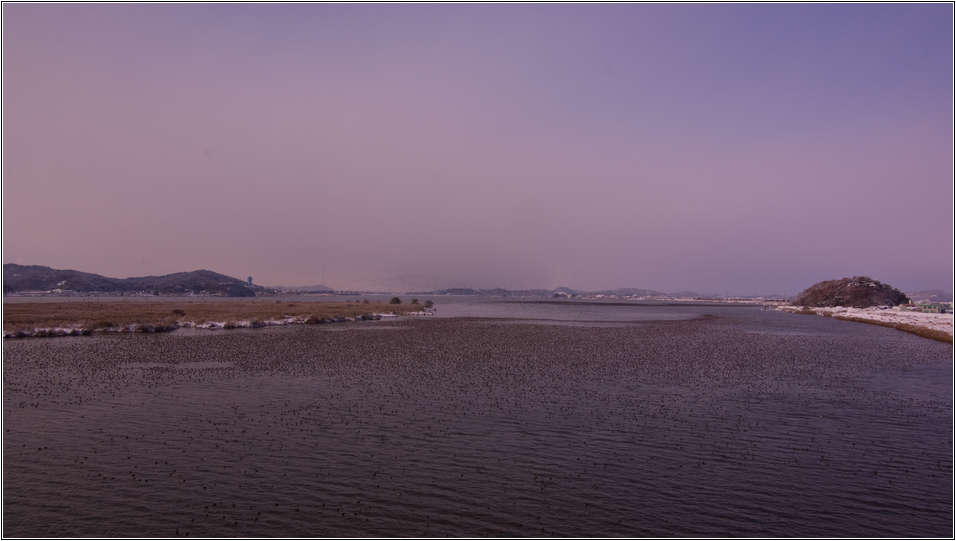 [출사 이야기]처음 찍어본 어설픈 가창오리 군무 57