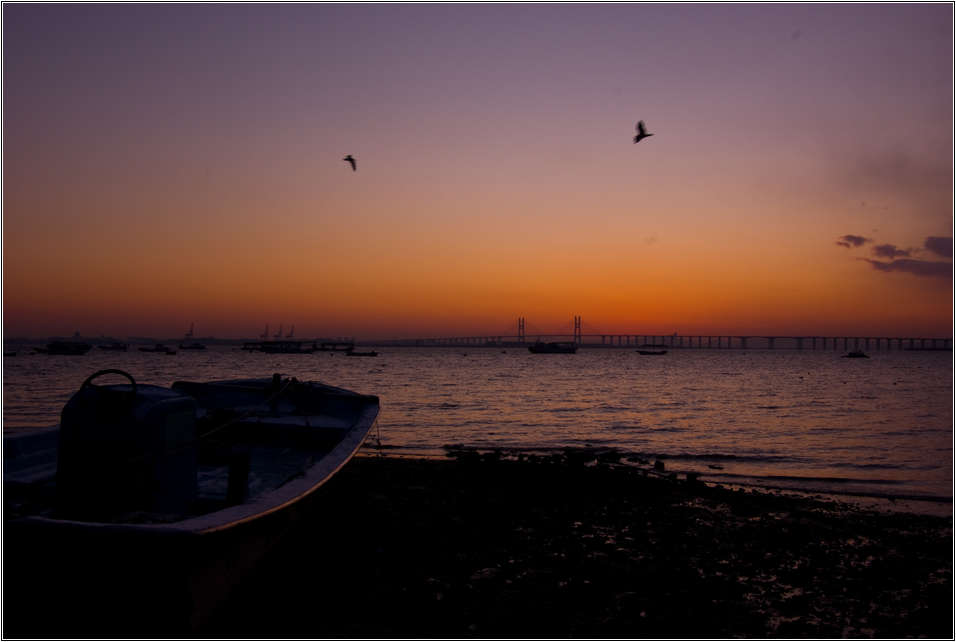 [출사 이야기]서해대교 일출 47