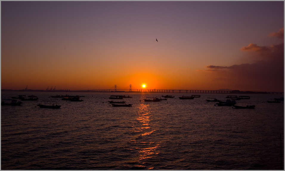 [출사 이야기]서해대교 일출 52