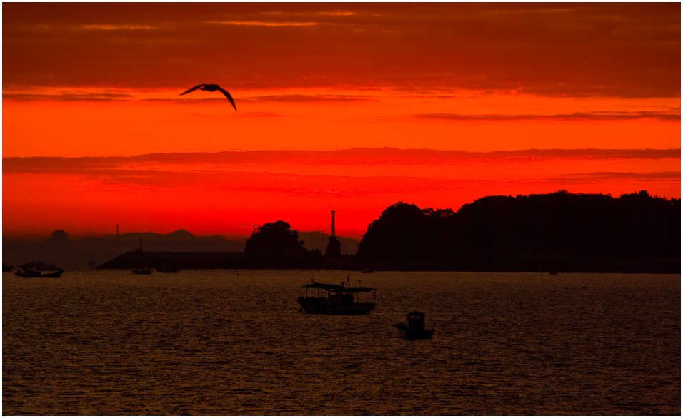 [출사 이야기]왜목마을 일출_실패한 출사기 34