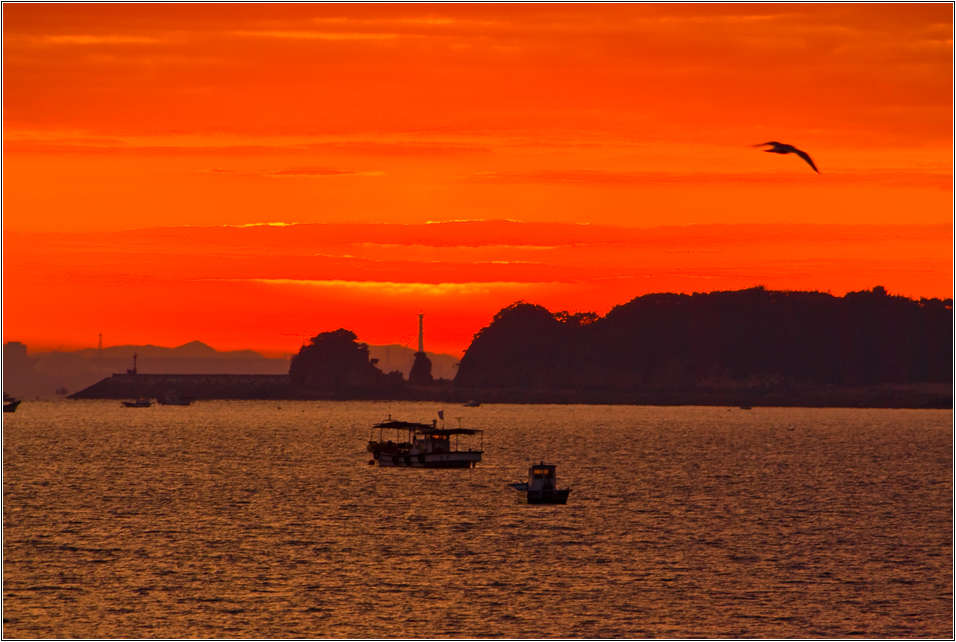 [출사 이야기]왜목마을 일출_실패한 출사기 35