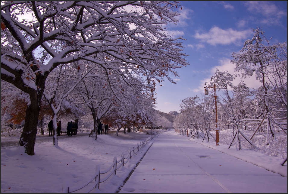 [출사 이야기]눈내린 날 선운사 가는길 18