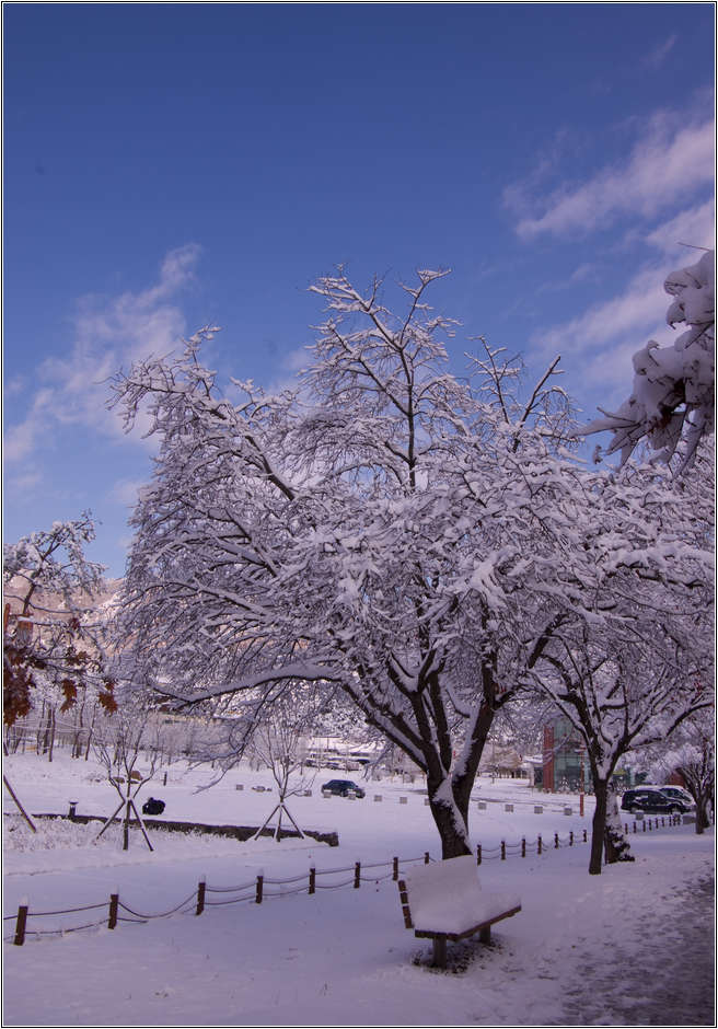 [출사 이야기]눈내린 날 선운사 가는길 20