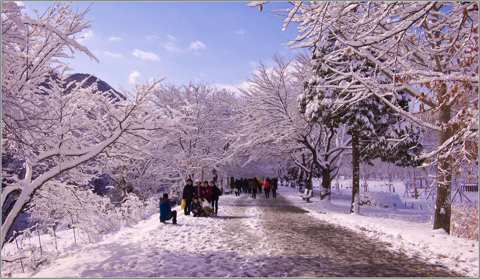 [출사 이야기]눈내린 날 선운사 가는길 19
