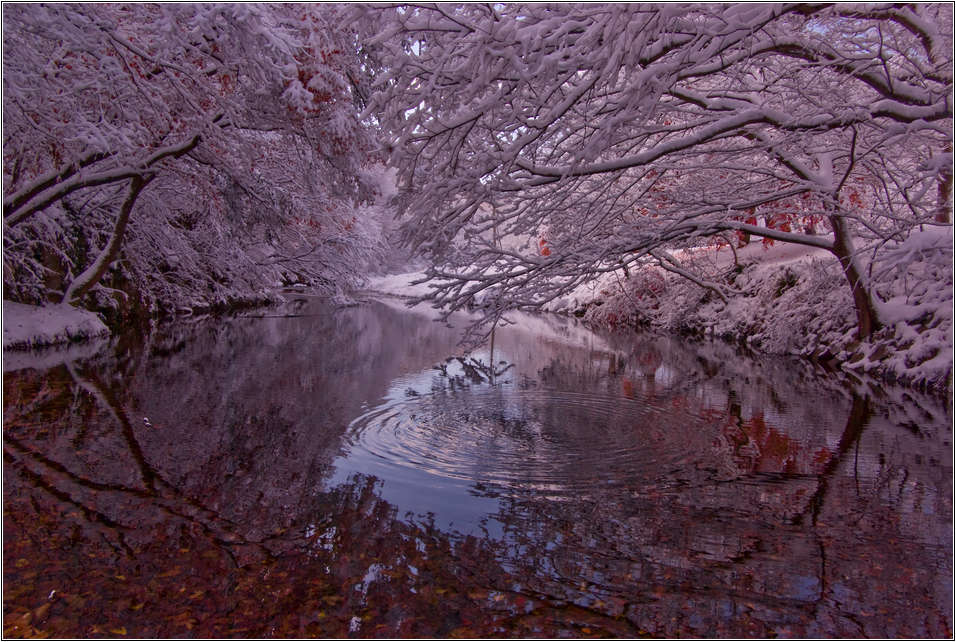 [출사 이야기]눈내린 날 선운사 가는길 21