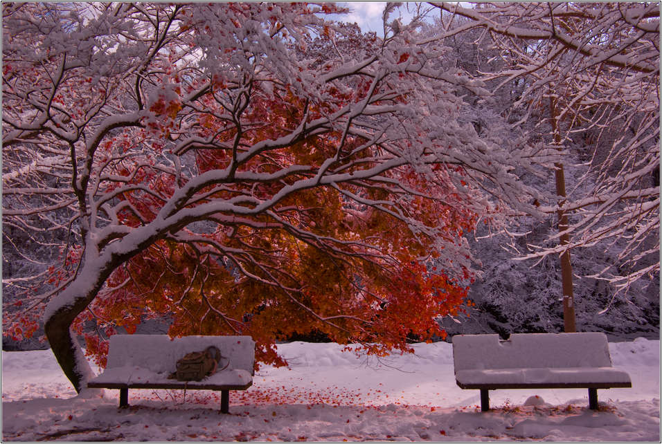 [출사 이야기]눈내린 날 선운사 가는길 24