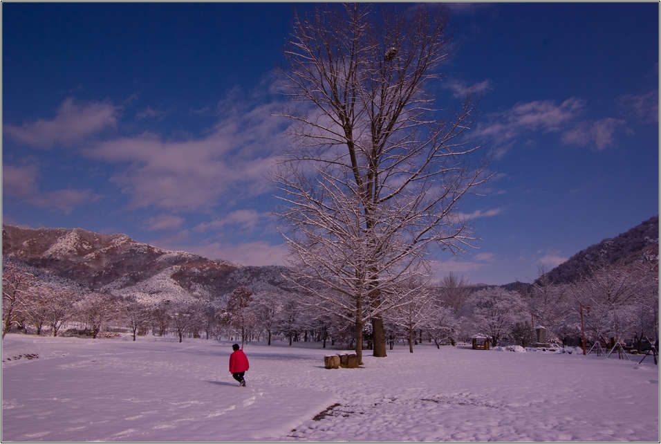 [출사 이야기]눈내린 날 선운사 가는길 31