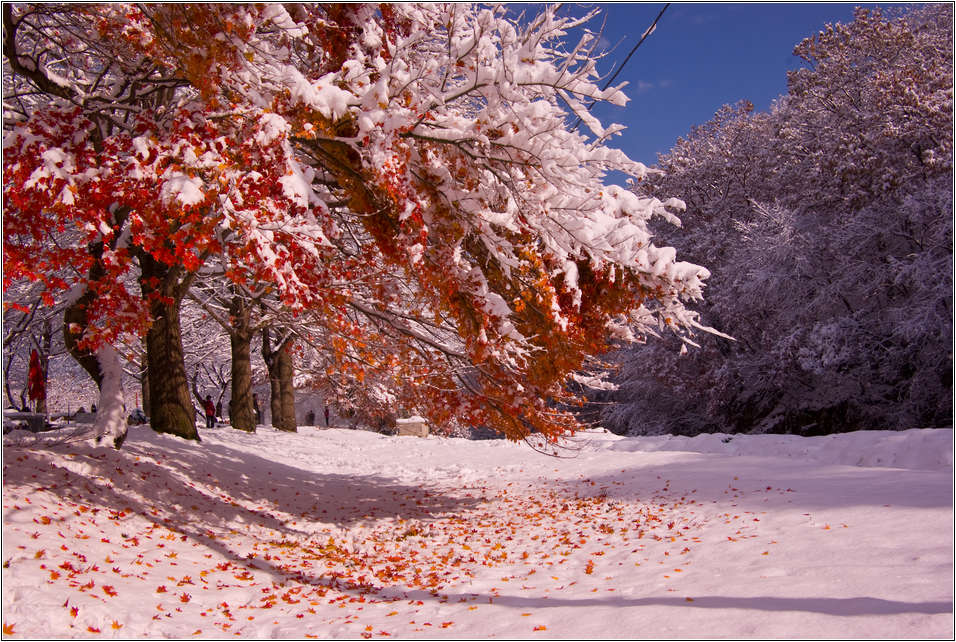 [출사 이야기]눈내린 날 선운사 가는길 25