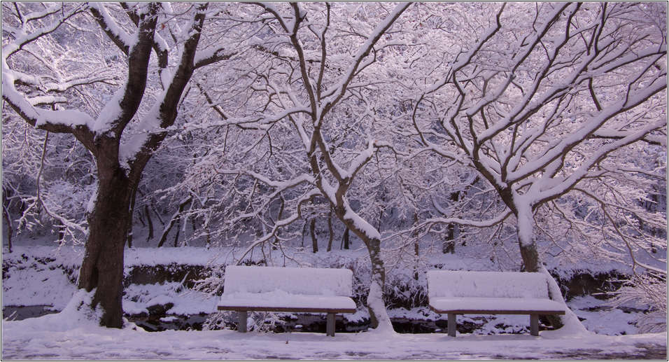 [출사 이야기]눈내린 날 선운사 가는길 23