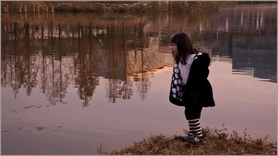 동백 호수공원... 12 동백 호수공원... 3