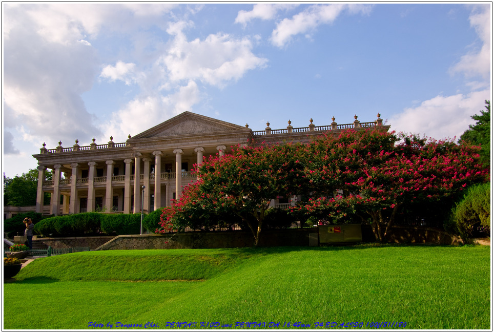 덕수궁 풍경 - 수문장 교체식의 위엄과 중화전이 아름다웠던 곳 38 배롱나무를 배경으로 바라 본 덕수궁 석조전