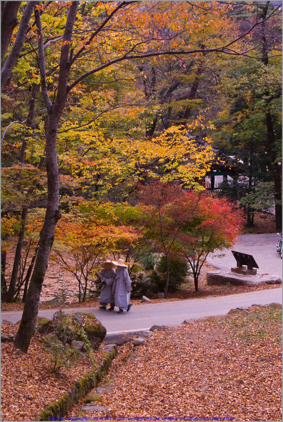 [출사 이야기]해인사 2