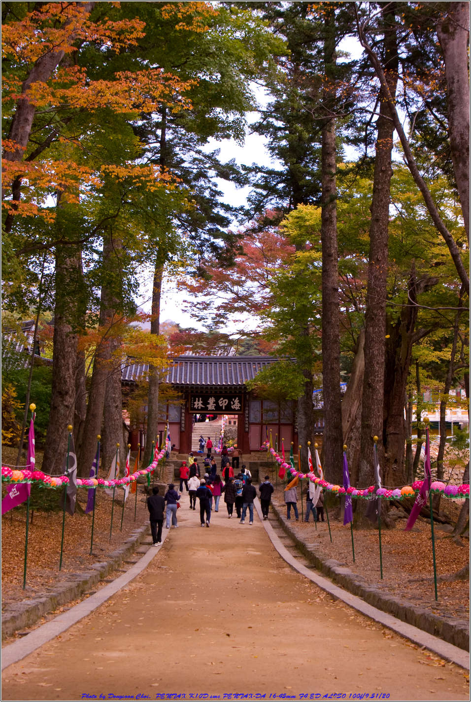 [출사 이야기]해인사 1