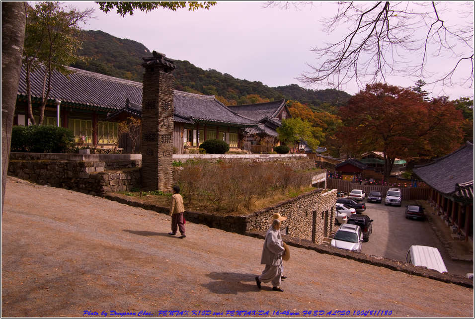 [출사 이야기]해인사 3