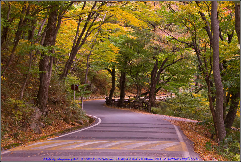 [출사 이야기]해인사 5