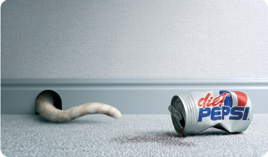 Pepsi 다이어트 고양이.jpg