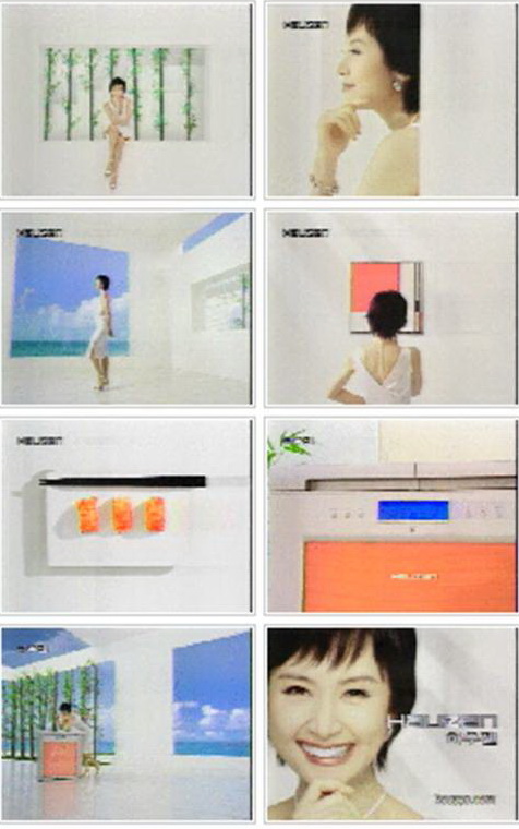   하우젠 김치냉장고 모델 채시라  