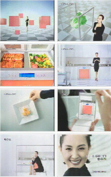   하우젠 김치냉장고 모델 채시라  