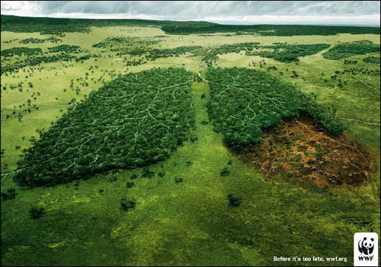 WWF_Before its too late_너무 늦기전에.jpg