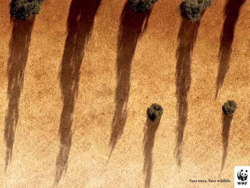 wwf_Save tree Save wildlife_표범 얼룩말 그리고 나무_tigerstripes.jpg