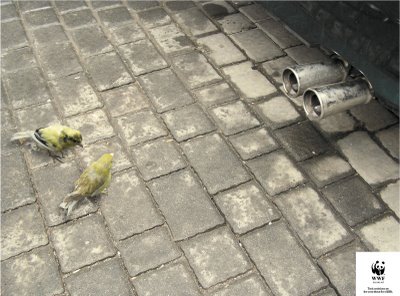 wwf_배기가스exhaust.jpg