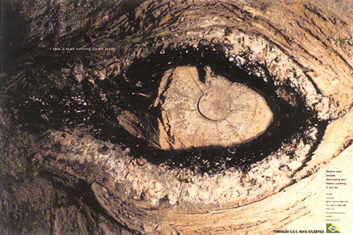 브라질_산림보호 켐페인.jpg