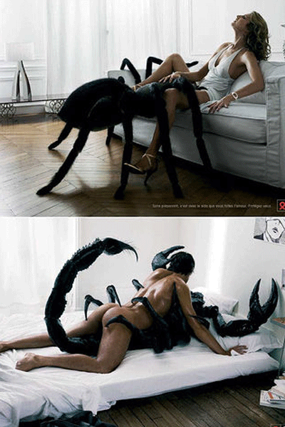 왕거미와의 위험한 동침 - 충격적인 에이즈광고.gif