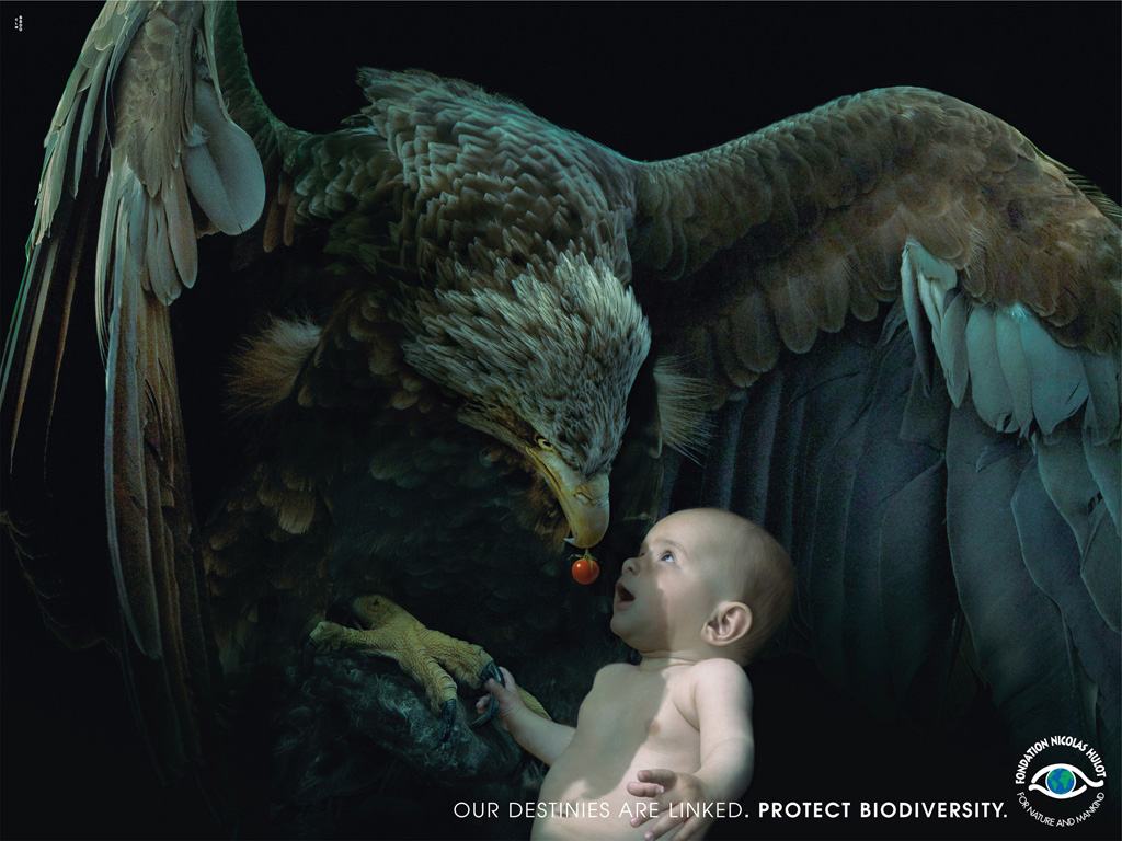 유럽 자연 보호 단체의 광고1.jpg