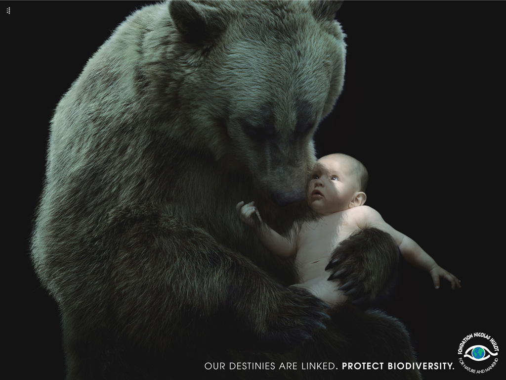 유럽 자연 보호 단체의 광고2.jpg