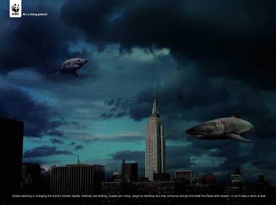 자연이 인간에게 주는 교훈_물에 잠긴 도시들2.jpg