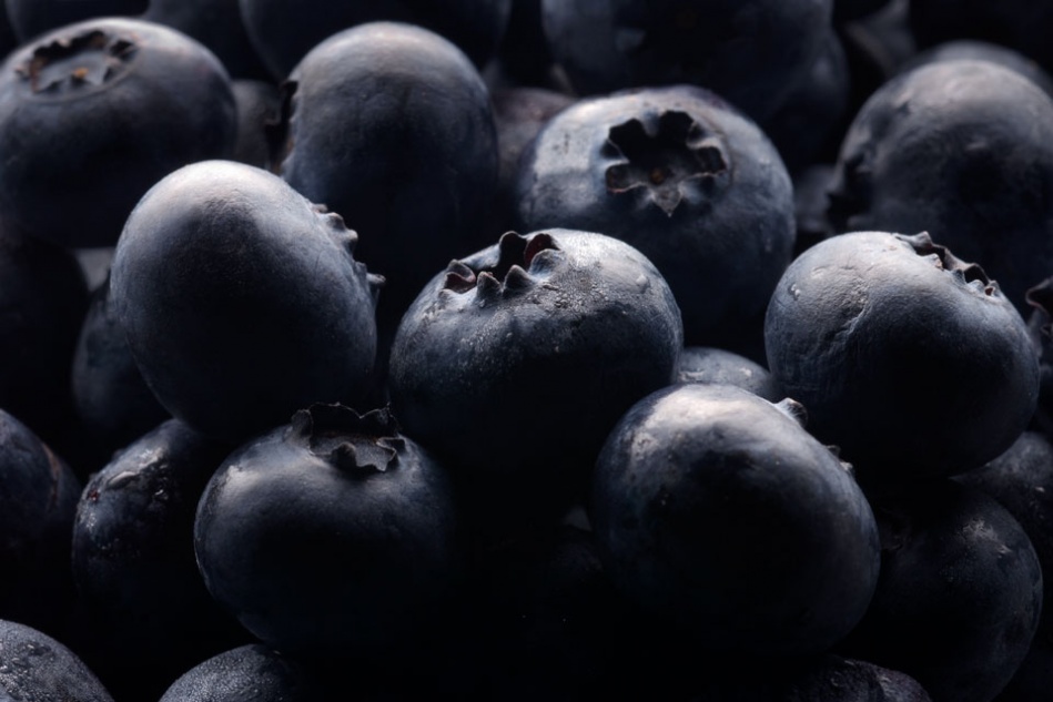 robb-debenport-blueberries.jpg