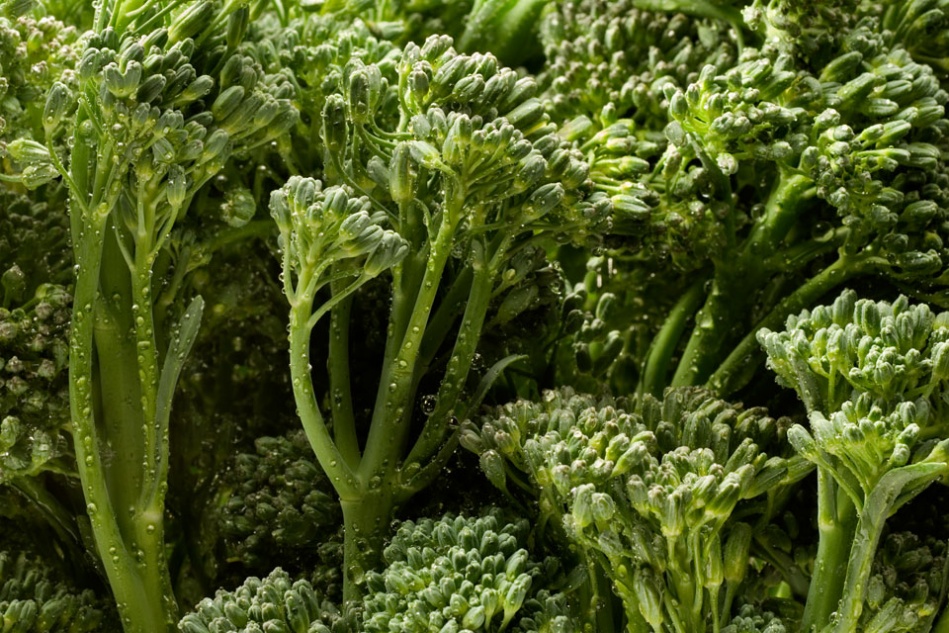 robb-debenport-broccolini.jpg