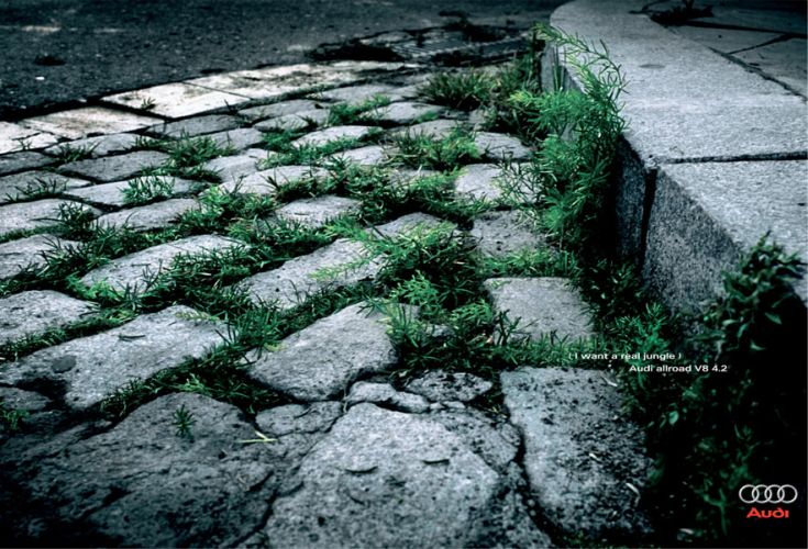 Audi 진짜 산과들을 원해.jpg