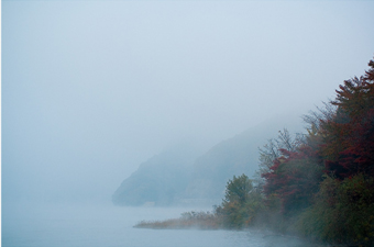 남이섬 아침안개.jpg