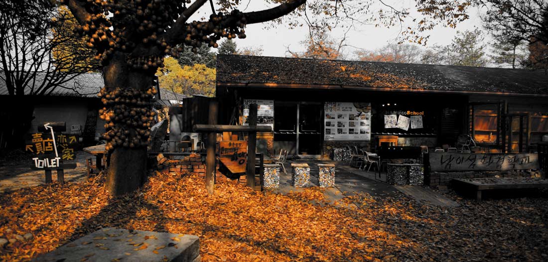 남이섬-환경 학교 정면.jpg