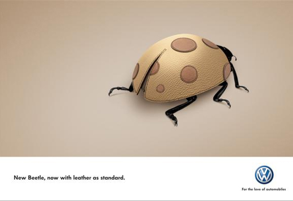 New Beetle 등이 가죽이네.jpg